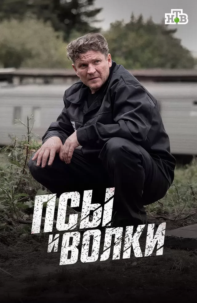 Псы и волки (1 сезон) онлайн